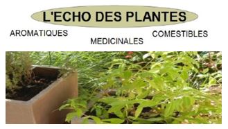 echo des plantes